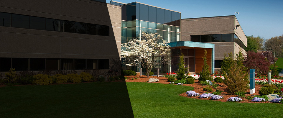 Emeryville Landscapers