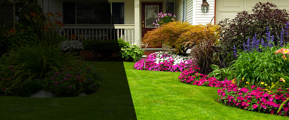 Emeryville Landscapers