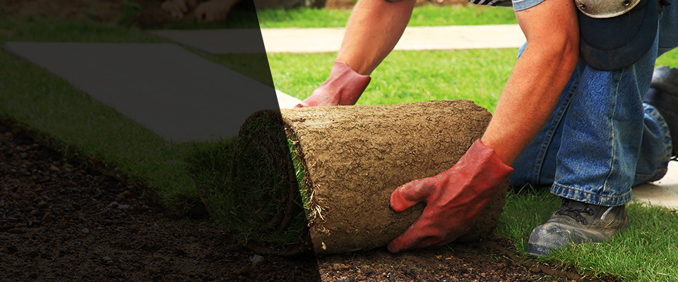 Emeryville Landscapers